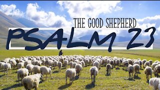 Psalm 23 The LORD is My Shepherd