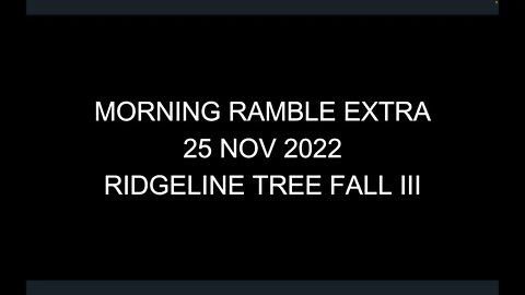 Morning Ramble Extra - 20221125E - Ridgeline Tree Fall III