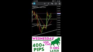 My Forex Trading Strategy Works | Still On My Forex Journey 400+ PIPS