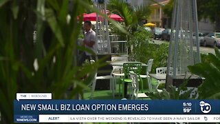 New small business loan option emerges