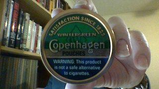 The Copenhagen Wintergreen Pouches Review