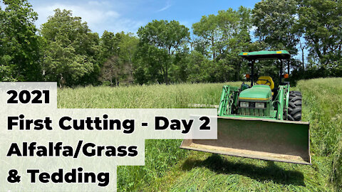 First Cutting & Tedding Part 2 - Alfalfa/Grass and Fescue