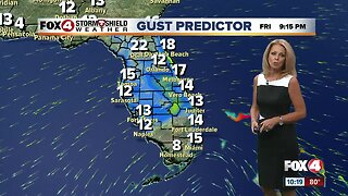 Rain & Gusty Winds Will Arrive for the Weekend