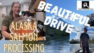 #everybitcountschallenge processing Alaskan Salmon! Most beautiful peaceful boat ride in all Alaska