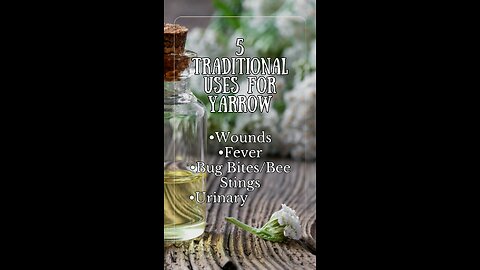 5 Traditional Uses for Yarrow