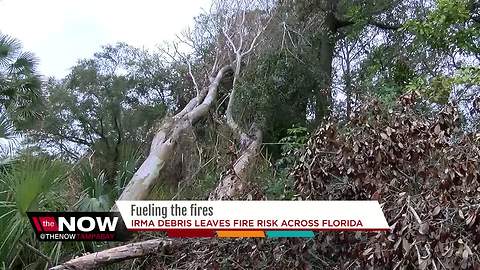 Irma debris to help fuel fires across Florida this year