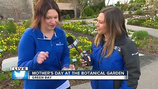 Mother's Day DIY with the Green Bay Botanical Garden