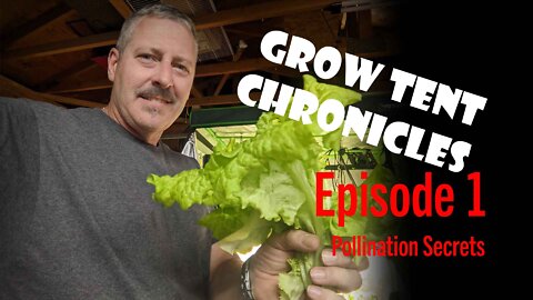Grow Tent Chronicles Episode 1