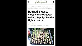 How To Grow An Endless Supply Of Garlic At Home