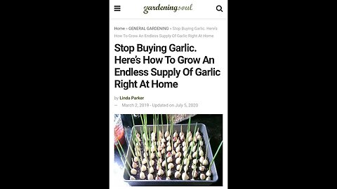 How To Grow An Endless Supply Of Garlic At Home