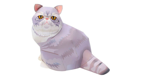 Exotic shorthair paper cat/Gato pelo curto exótico de papel