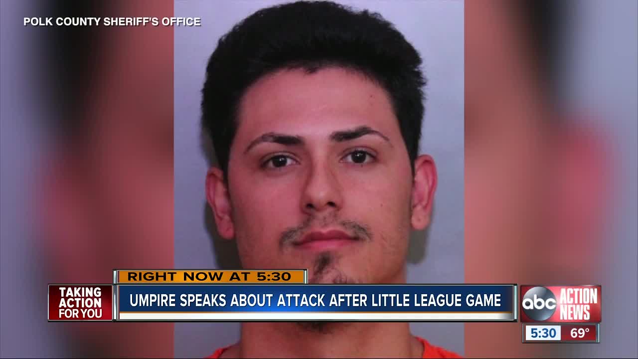 Lakeland man arrested for punching little league umpire
