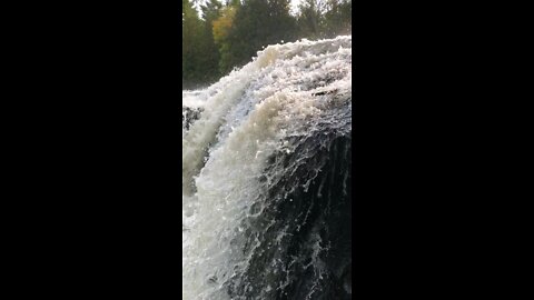 Bond falls Mi