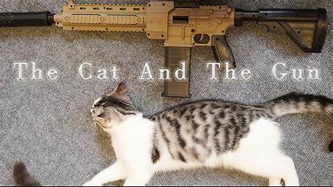 Funny cat 😽 vs Gun 🔫 - Funny Animals 😂 playing dead on finger shot Compilation || Animal Gags