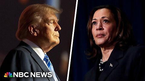 Trump plays 'card of division' when he questions Harris' racial identity, Democratic senator says