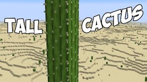 MINECRAFT 2021 - "Minecraft's Tallest Cactus... #shorts"
