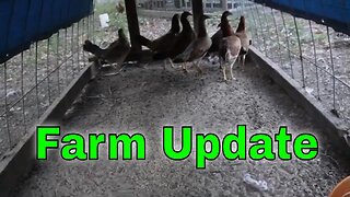 Farm Update for September