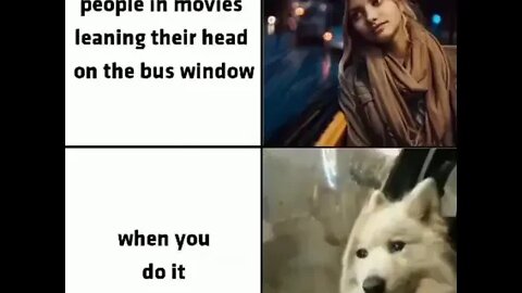 When You Lean Your Head on the Bus Window... #shorts #youtubeshorts