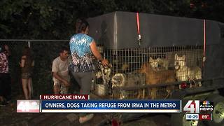 Animal shelter helps Florida family, dogs