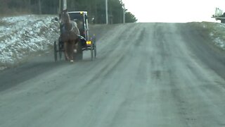 Horse & Buggy School Bus