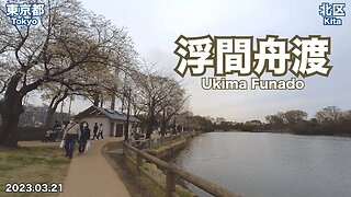 【Tokyo】Walking on Ukima Funado (2023.03.21)