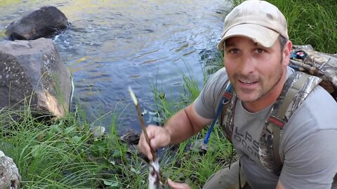 Cooking and cleaning a trout - How to for the pan