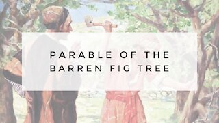 10.7.20 Wednesday Lesson - PARABLE OF THE BARREN FIG TREE