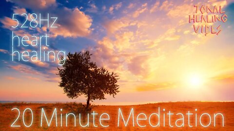 20 Minute Heart Healing Meditation | 528 Hz
