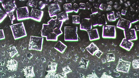 FSME Tick Vaccine under the Darkfield Microscope - Part 2 - Nanotechnology, IoBNT, Nanorouter, BLE