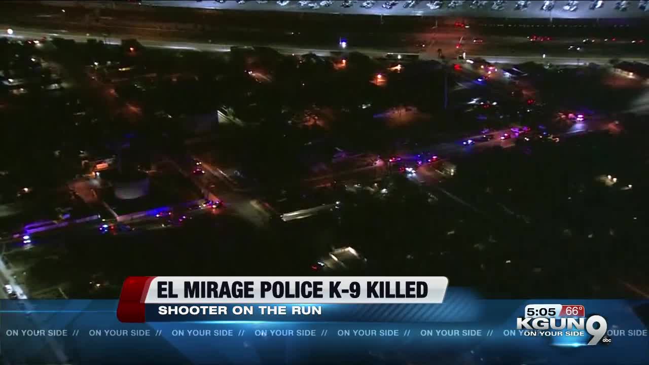 El Mirage police K-9 shot, killed during officer-involved shooting