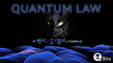 #288 // QUANTUM LAW