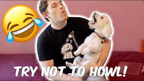 TRY NOT TO HOWL CHALLENGE!