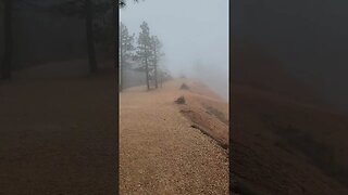 Fog in Bryce Canyon National Park