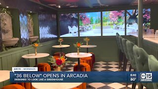 36 Below: Basement greenhouse-inspired bar opens in downtown Phoenix