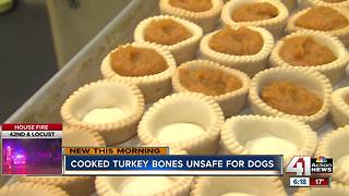 Why Thanksgiving leftovers aren't meant for your dog