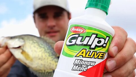 Does Berkely Gulp Alive MINNOW catch Crappie? (crappie fishing) Ep.13 of 30 day challenge