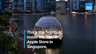 First Look Inside the Floating Apple Store