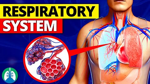Respiratory System Made Simple [5-Minute Explanation]