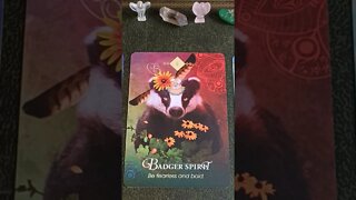 Sunday 18th September 2022 #tarot #dailytarot #cardoftheday