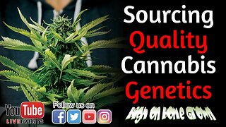 Cannabis News | Finding Quality Cannabis Genetics| @HighonHomeGrown Episode 152