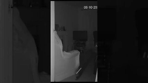 5am cat antics caught on cat cam 🐈‍⬛🐆 #catcam #bengalcat #nightvisioncamera