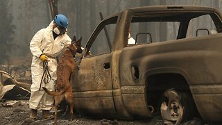 More Than 630 Reported Missing In Deadly California Camp Fire