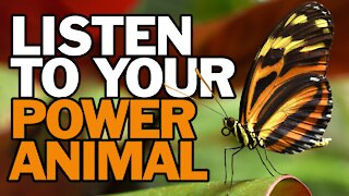Listen to Your Power Animal