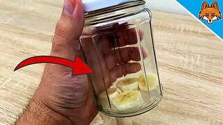 With THIS Fly Trap you can get rid of Flies EASILY 💥 (GENIUS Trick) 🤯