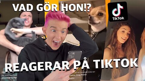 REAGERAR PÅ TIKTOK