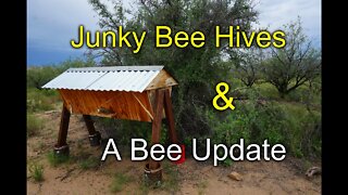 Scrap wood bee hives and a BEE Update!