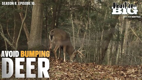 Best Entry and Exit Tactics to Avoid Spooking Deer