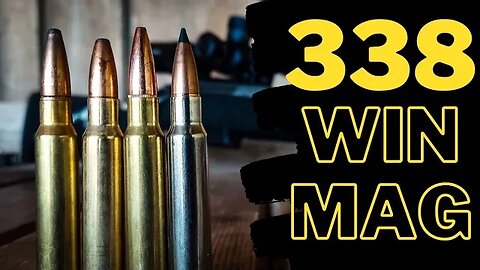 338 Win Mag - 100 Yard AMMO Test