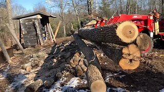 Cutting up firewood Nov-18-B