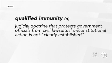 Should qualified immunity continue to protect law enforcement? Debate rages on in Michigan